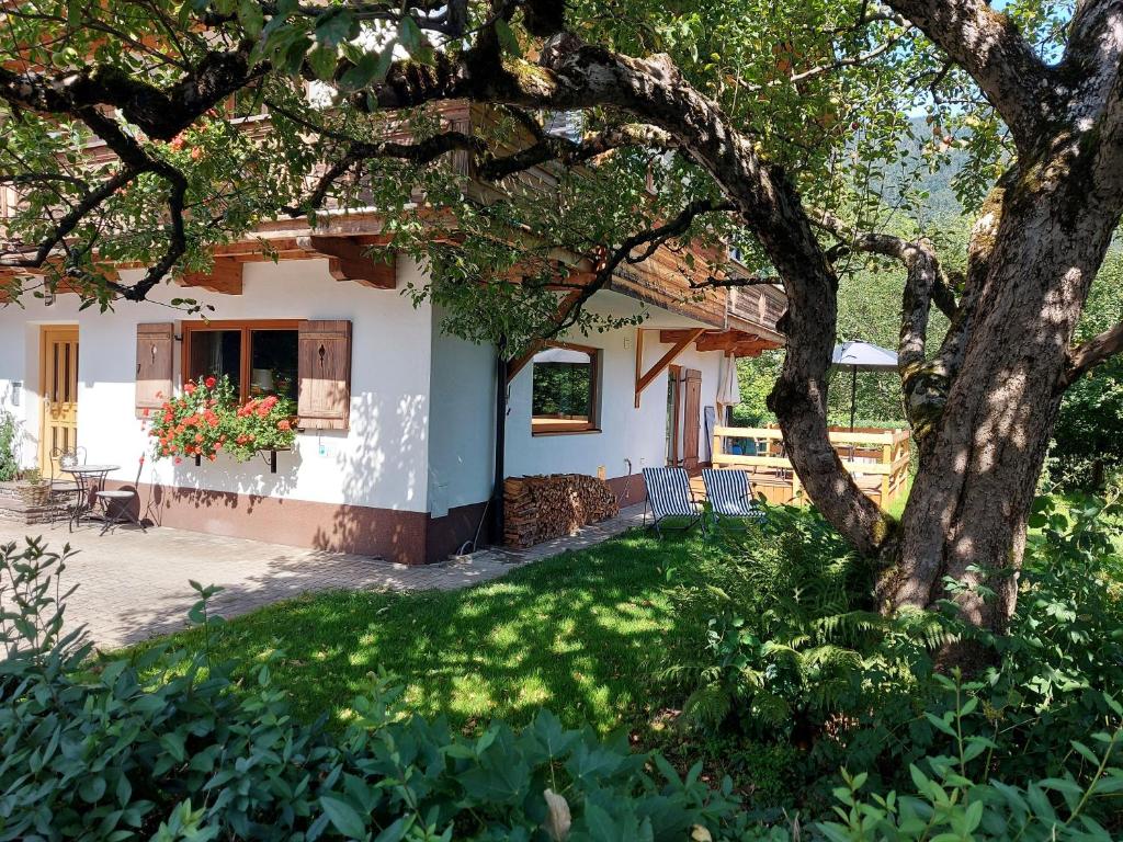Gartenwohnung Ritter