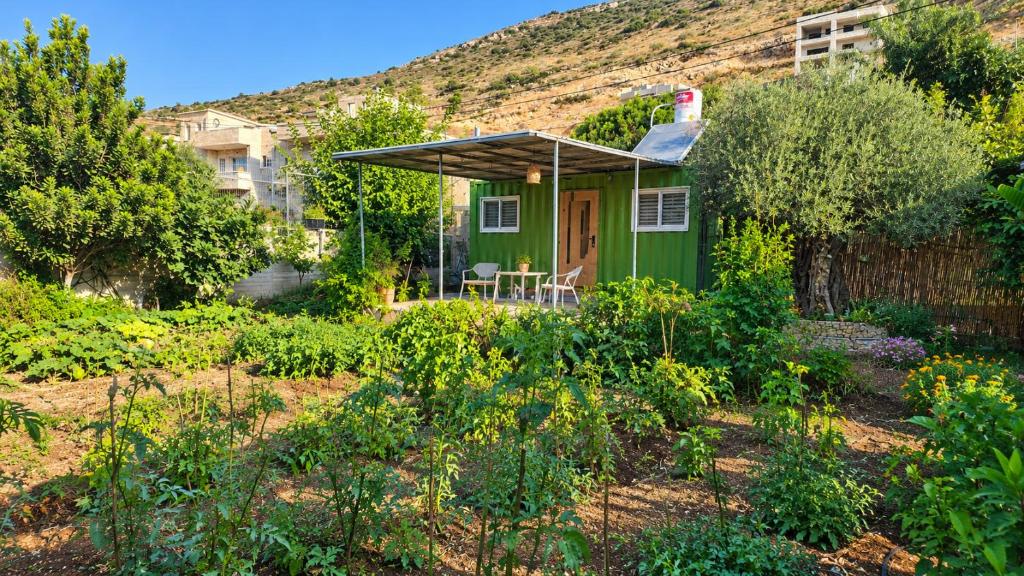 Olive Tiny House – תמונה 3