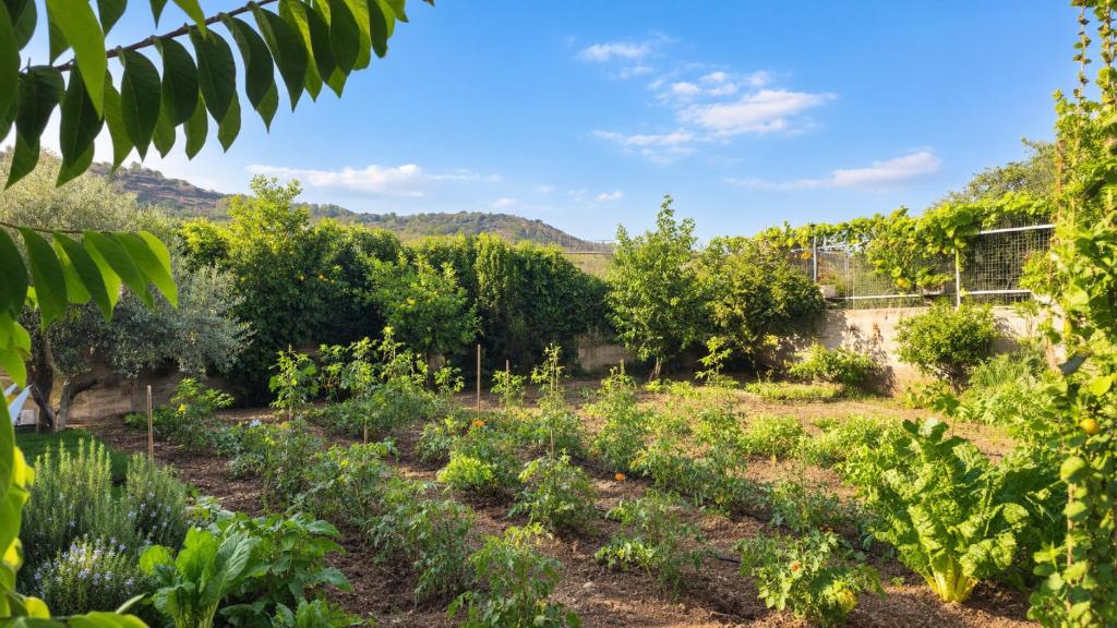 Olive Tiny House – תמונה 6
