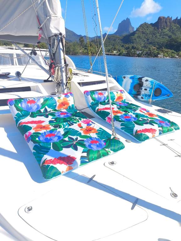 Private cabin on a catamaran with half board in Moorea - photo 11 - Moorea, Polynésie