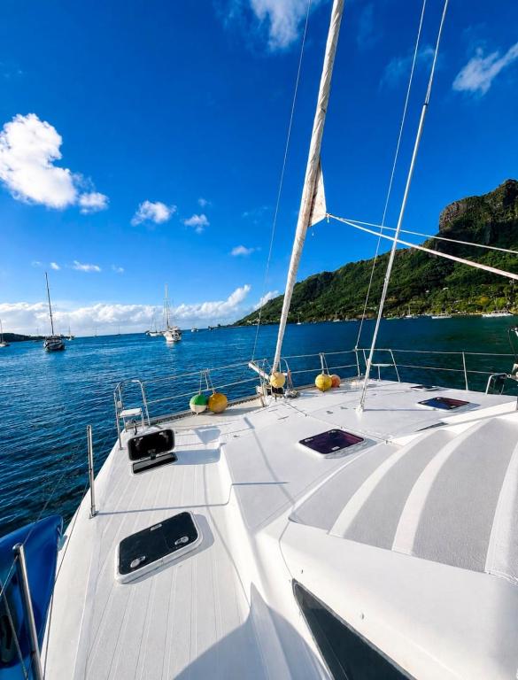 Private cabin on a catamaran with half board in Moorea - photo 5 - Moorea, Polynésie