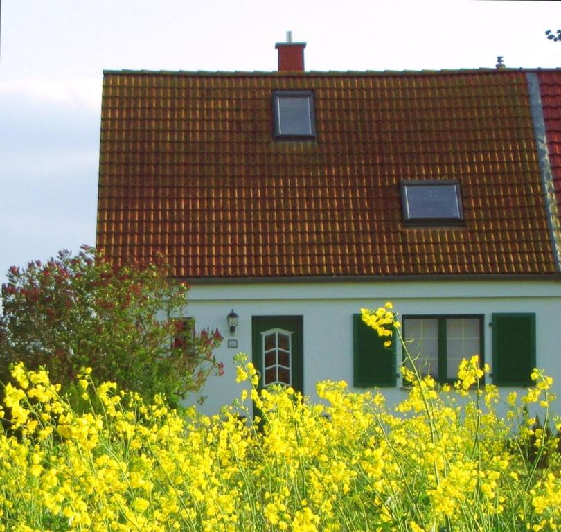 ein weißes Haus mit rotem Dach und gelben Blumen in der Unterkunft Ferienhaus Luise in Lüdershagen