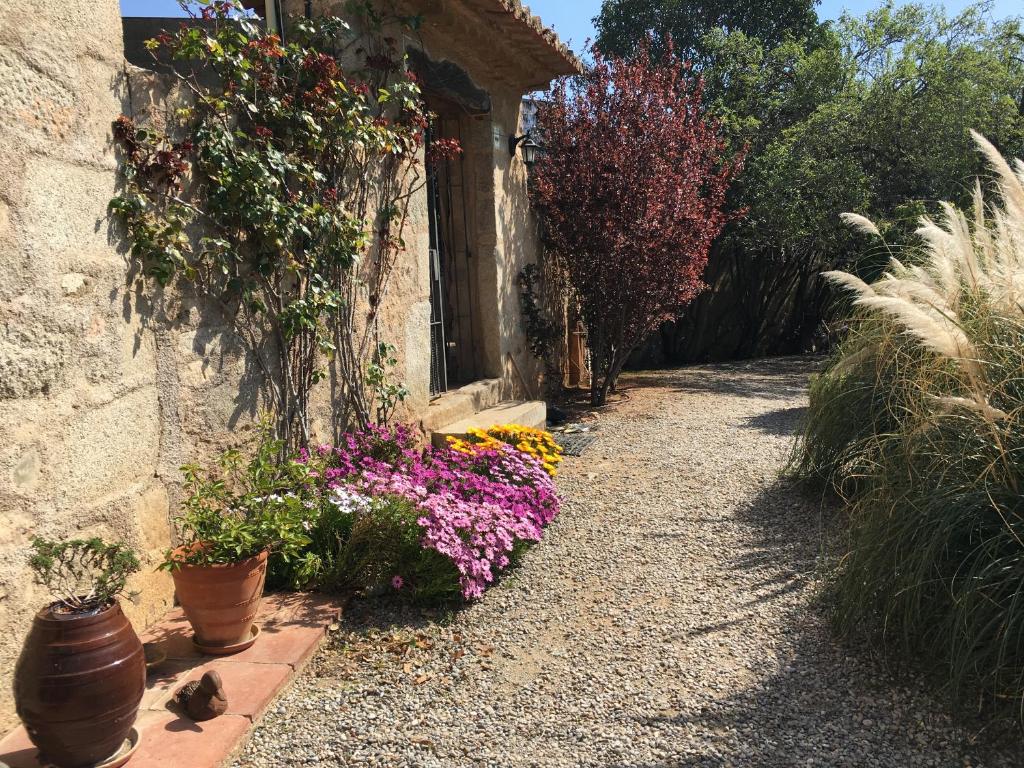 Hotel Masia Can Vive, Cabrera de Mar – Updated 2022 Prices