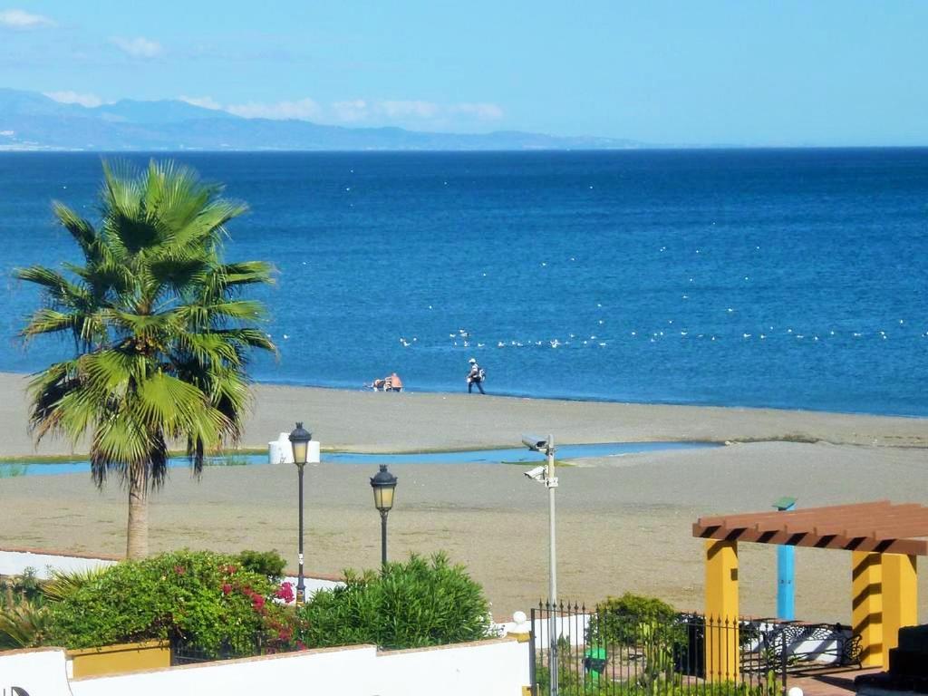 マニルバにあるApartamento 409 marina Real Puerto de la Duquesa playaのヤシの木と海のビーチ