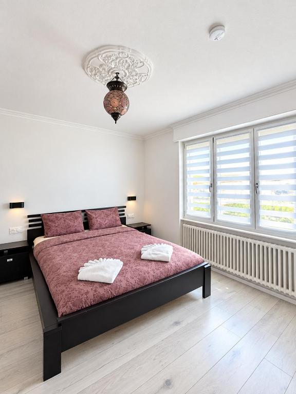 Appartement des 3 pays. 2 mn de Bâle+ Free parking – photo 2