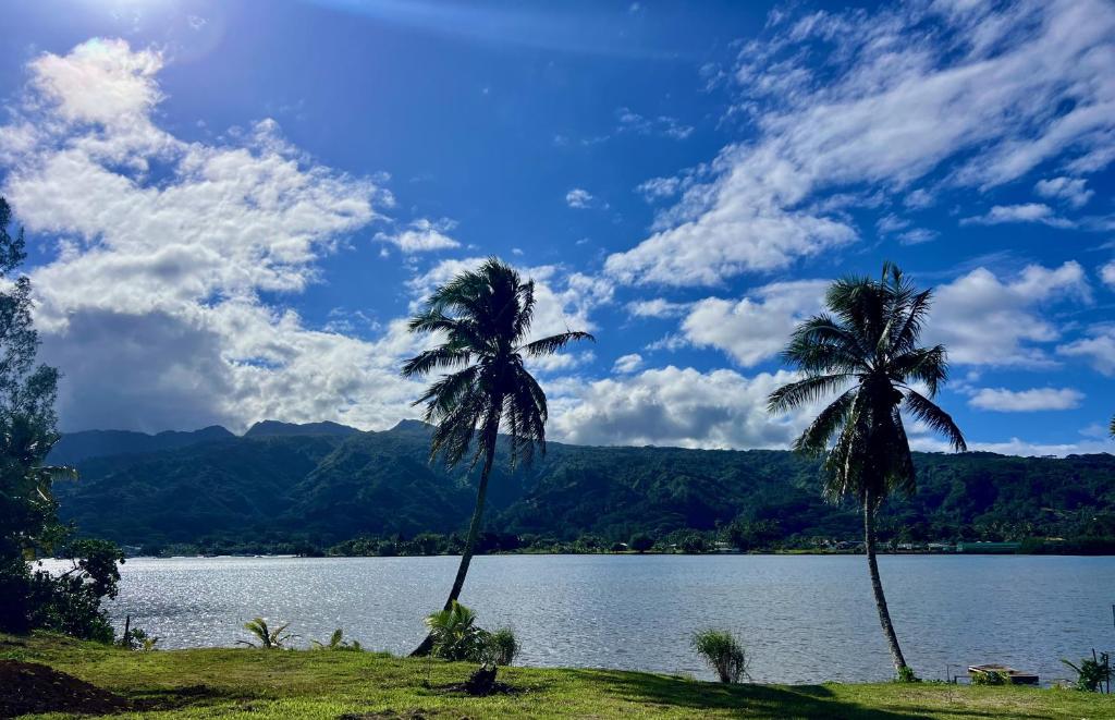 Glamp iti Reva - photo 8 - Tahiti, Polynésie