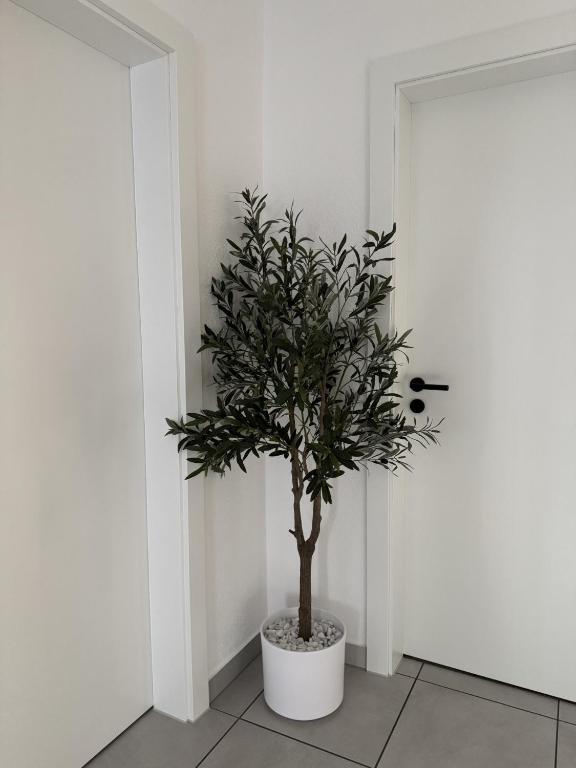 Appartement des 3 pays. 2 mn de Bâle+ Free parking – photo 24