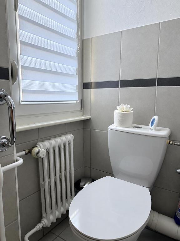Appartement des 3 pays. 2 mn de Bâle+ Free parking – photo 29