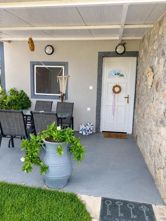 Olive Village