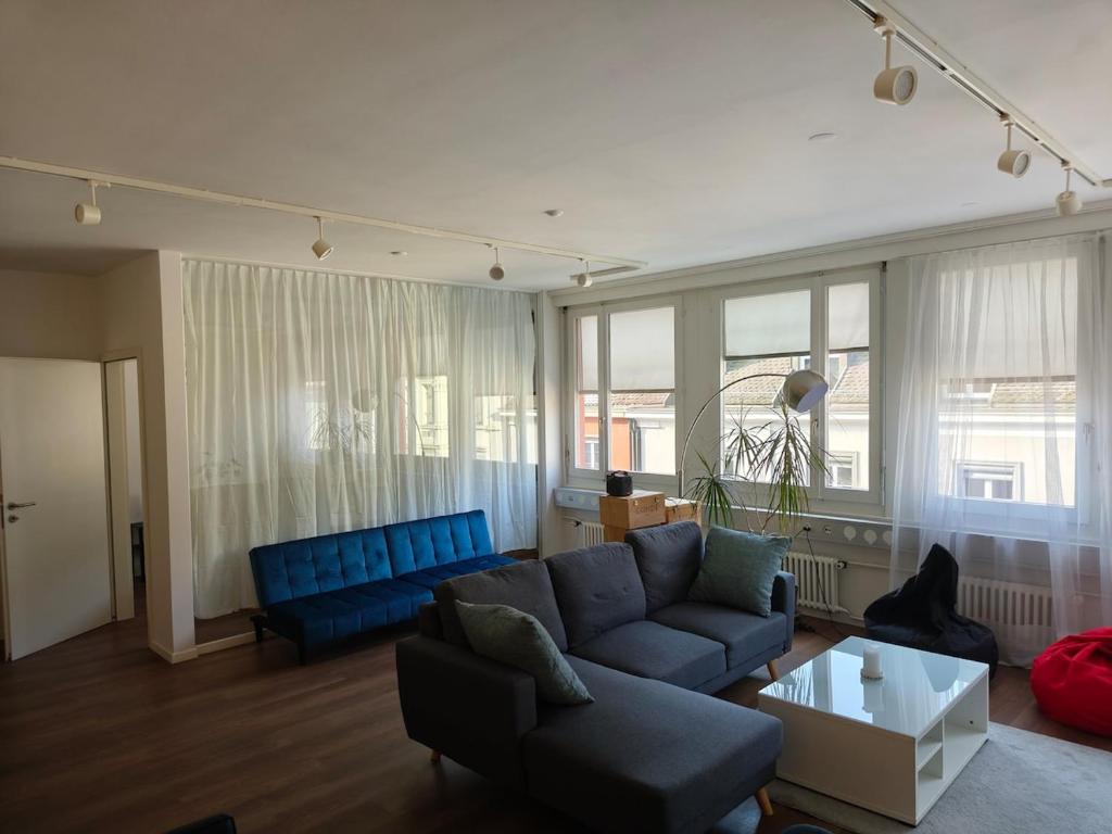 Loft in downtown Zurich