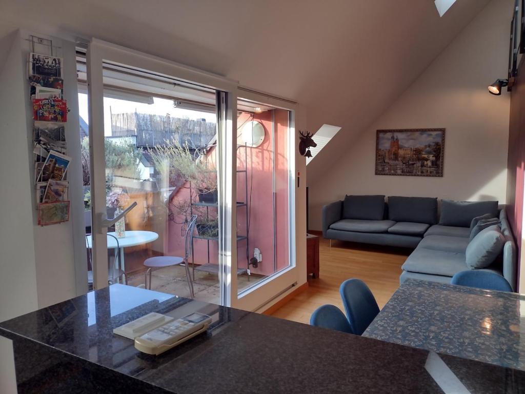 Executive Rooftop Flat in Zurich