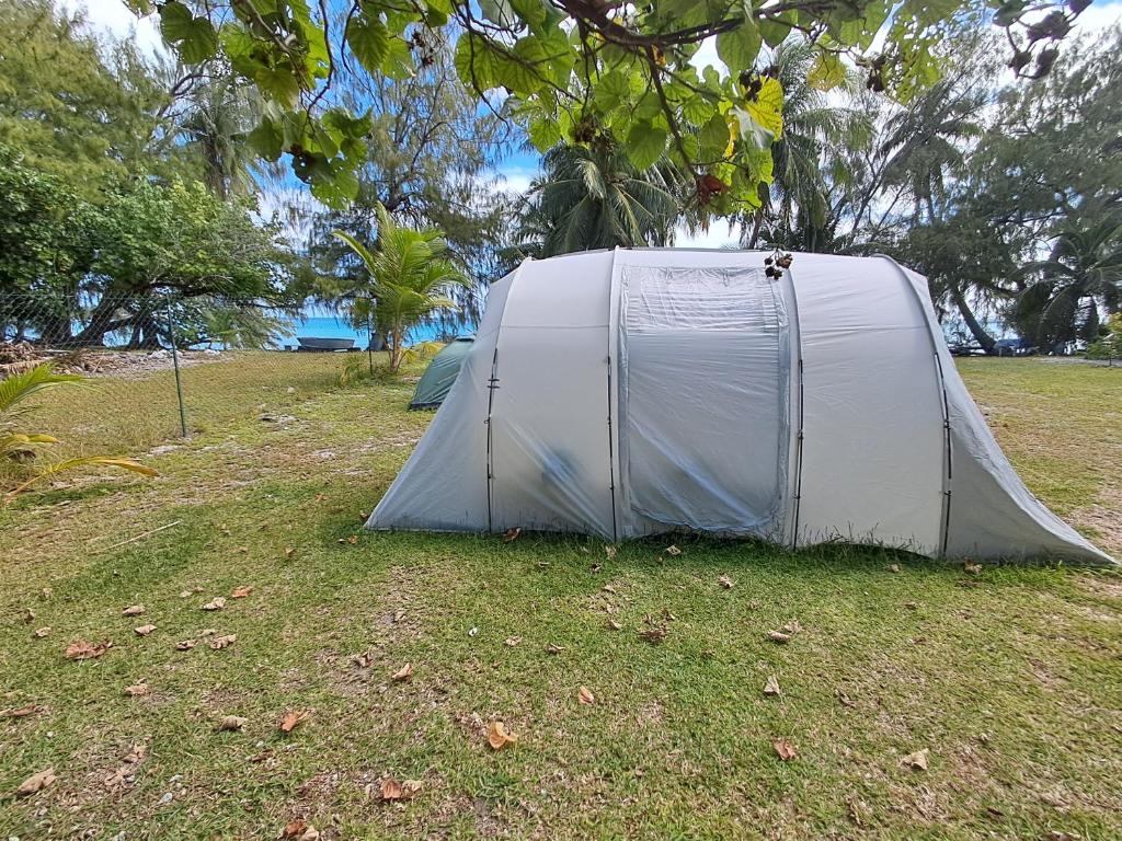 HINAMOE LODGE, Avatoru - photo 9 - Rangiroa, Polynésie