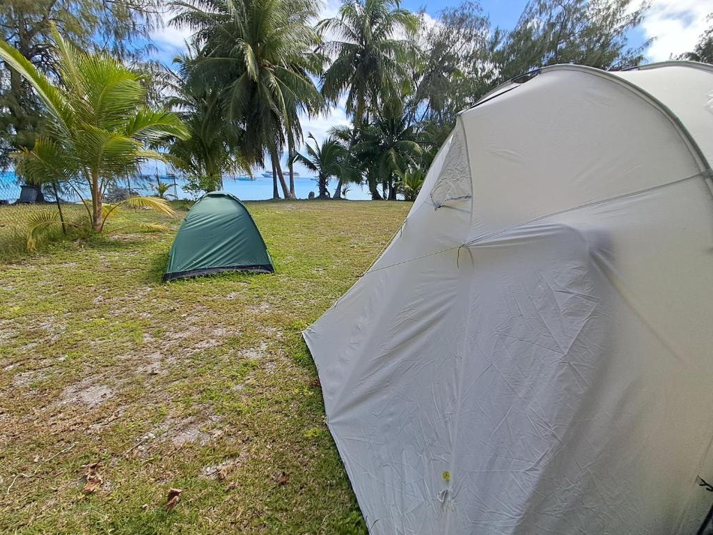 HINAMOE LODGE, Avatoru - photo 12 - Rangiroa, Polynésie