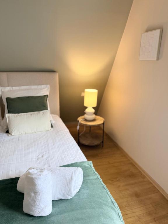 Pistache - Charme et confort au cœur de Colmar – photo 27