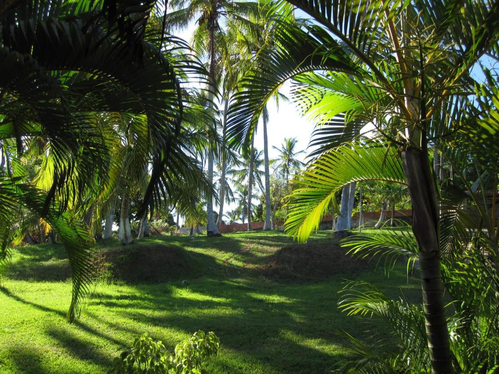 Um jardim no exterior de Sitio Os Tres