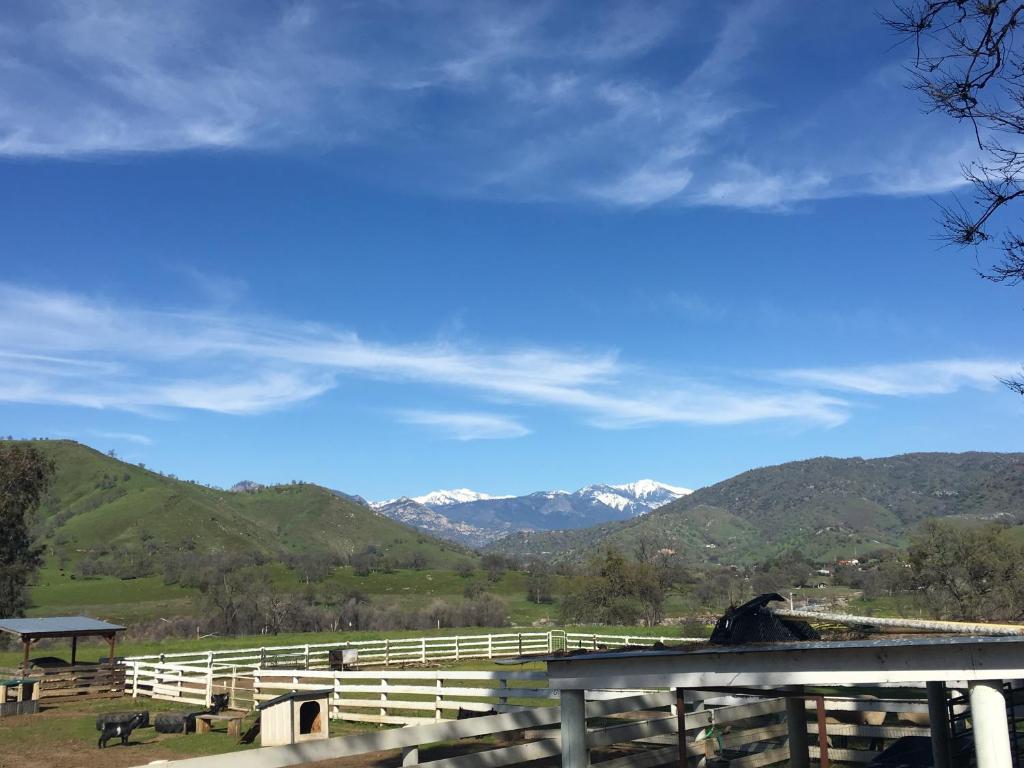 Lazy J Ranch Motel — photo 19