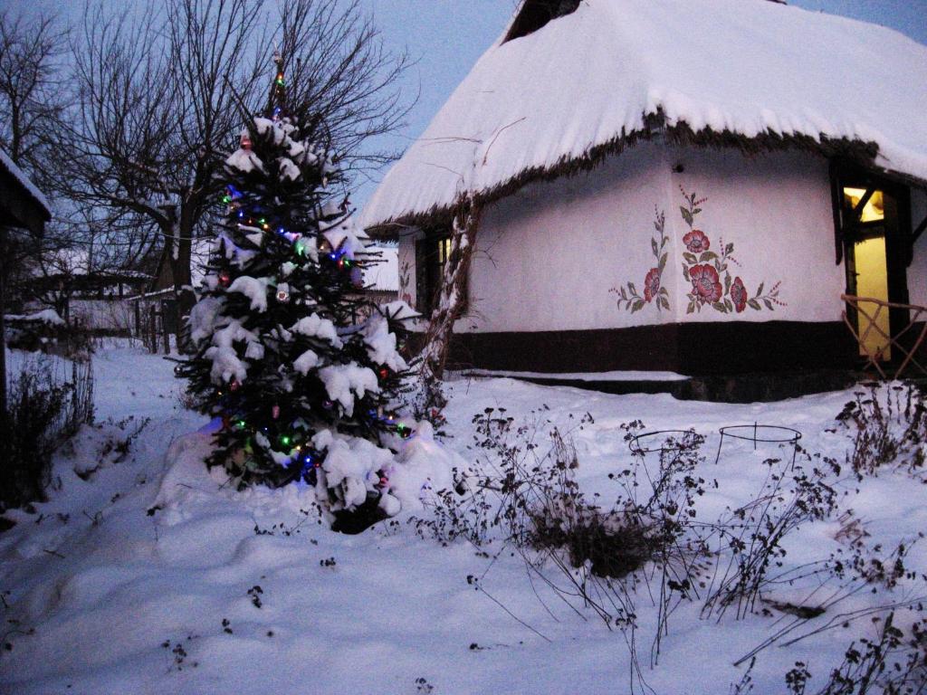 un albero di Natale coperto di neve davanti a una casa di Koryakivskyi Rai a Dmitrenki