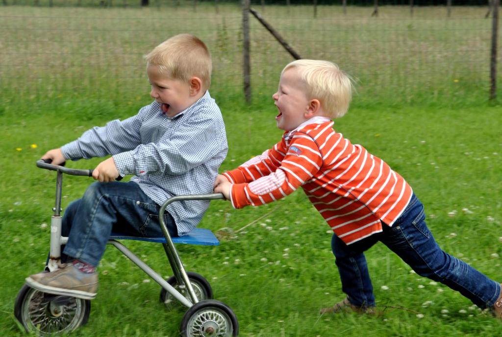 Děti v ubytování B&B Hoeve de Schapenkop