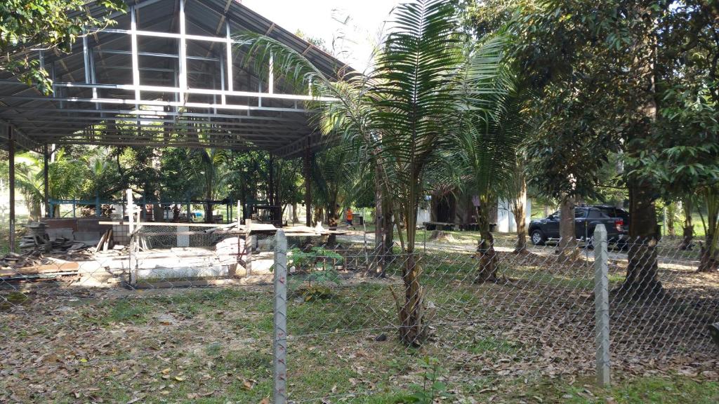 a fence with palm trees in front of a building at Chalet Kampong Semawar in Kuala Kangsar