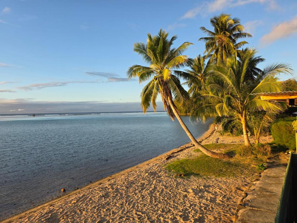 Maetuatini Beach House - photo 10 - Moorea, Polynésie