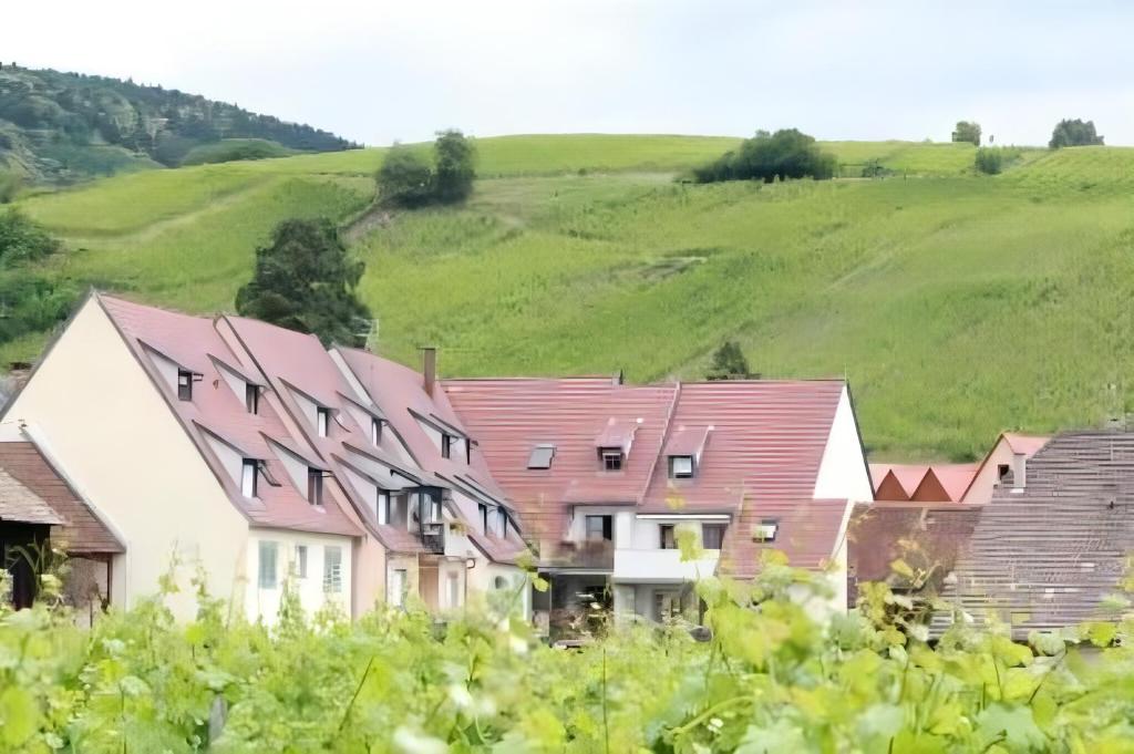 Vue sur vignes – photo 6