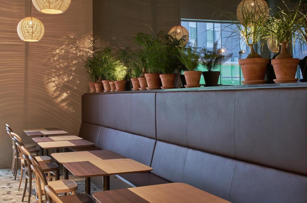 Zander K Hotel - Resim 24