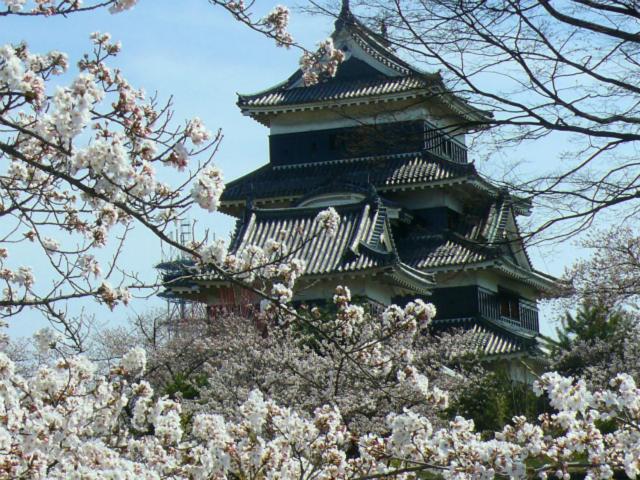 Fotografie z fotogalerie ubytování Marunaka Ryokan v destinaci Macumoto