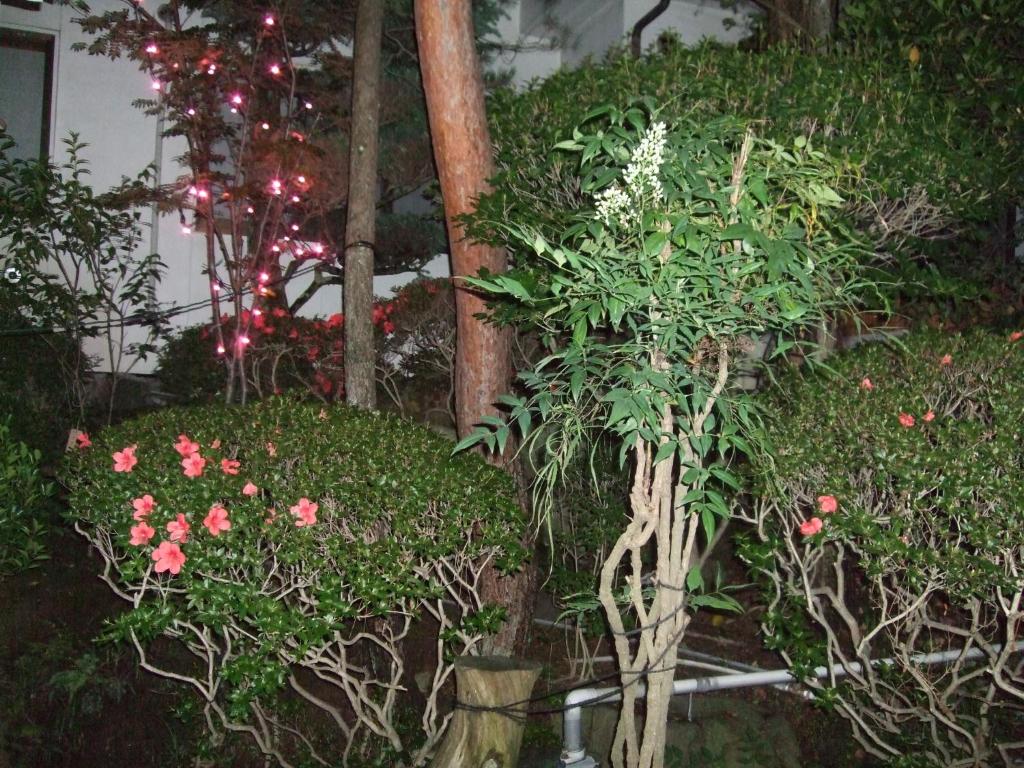 Zahrada ubytování Marunaka Ryokan