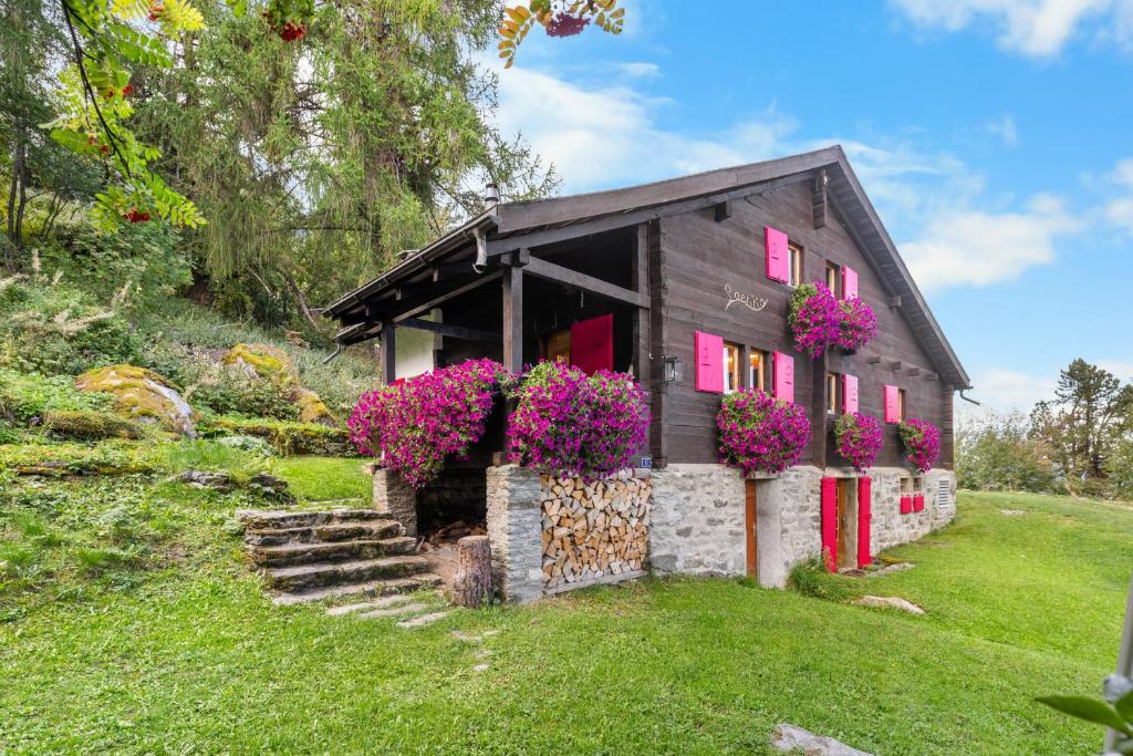 Chalet Laetitia - 8 pers - charme et authenticite