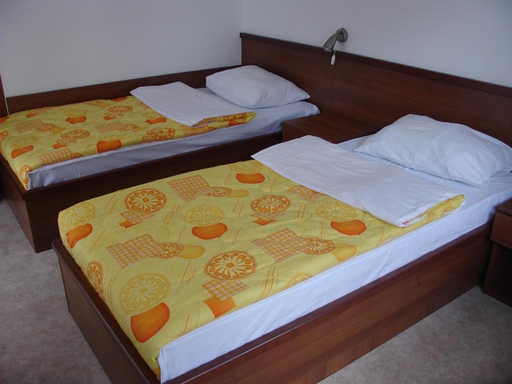 Hotel Kopaonik Lukovska Banja - Standard Twin Room