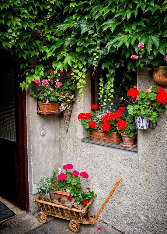 Giardino di Gasthof Mandorfer