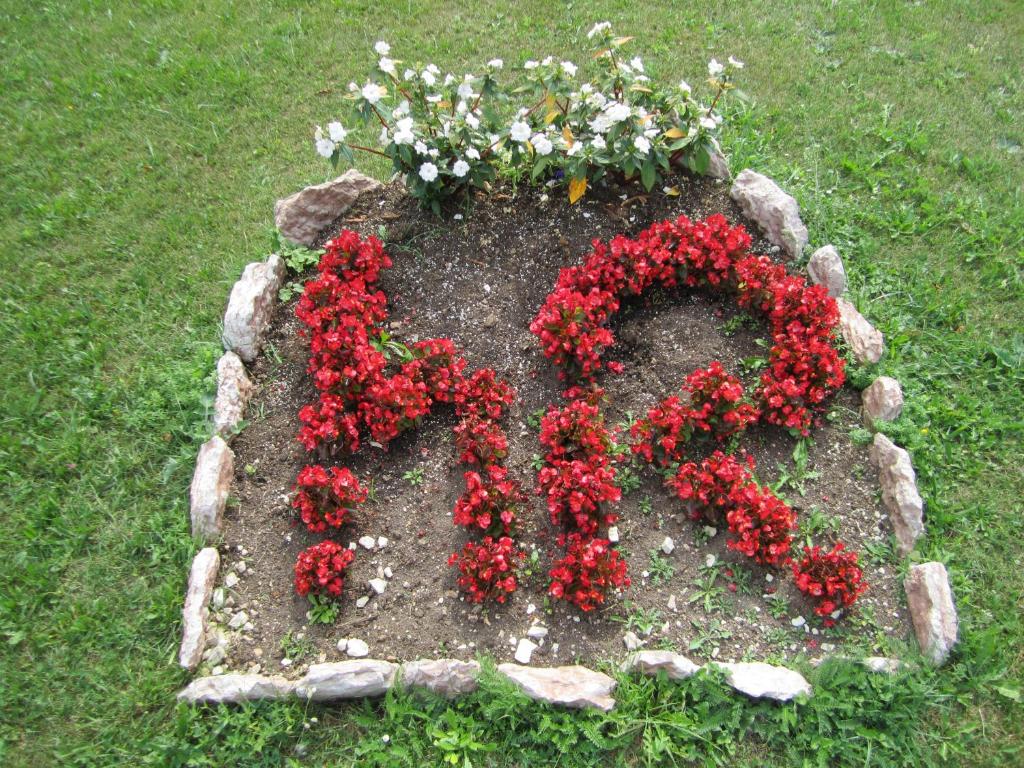 Zahrada ubytování Hotel Rosalpina