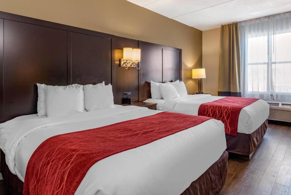 Comfort Inn & Suites near Six Flags - 