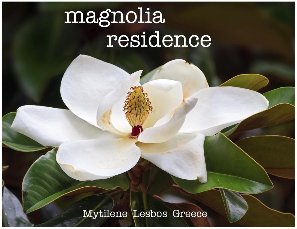 Fotografia z galérie ubytovania Magnolia Residence v destinácii Mytilini