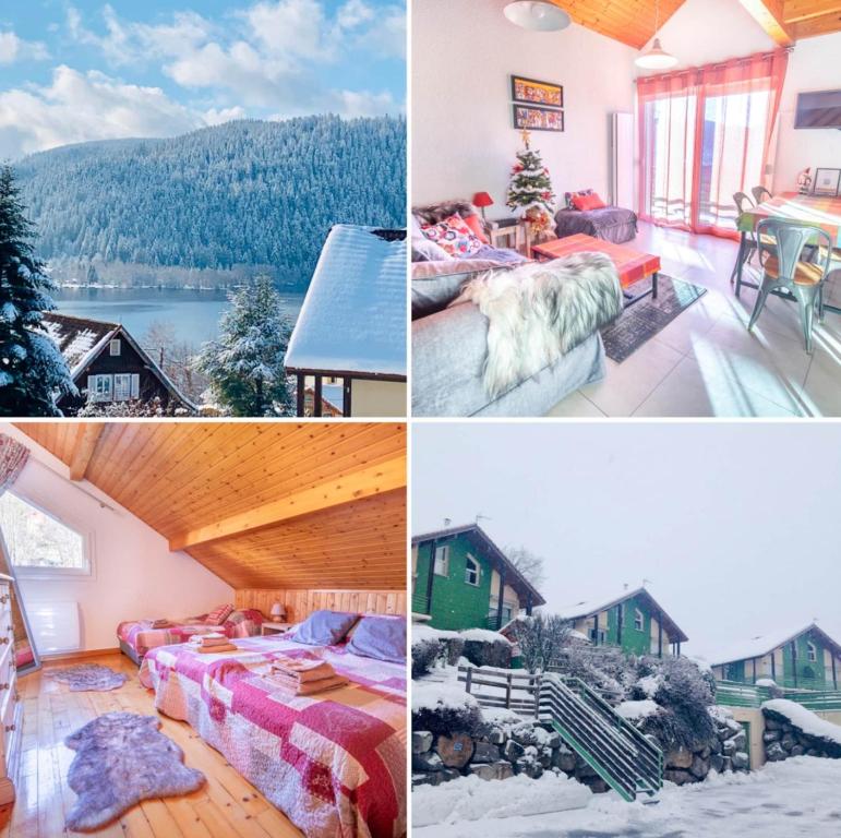 Duplex dans chalet avec superbe vue lac et piscine commune