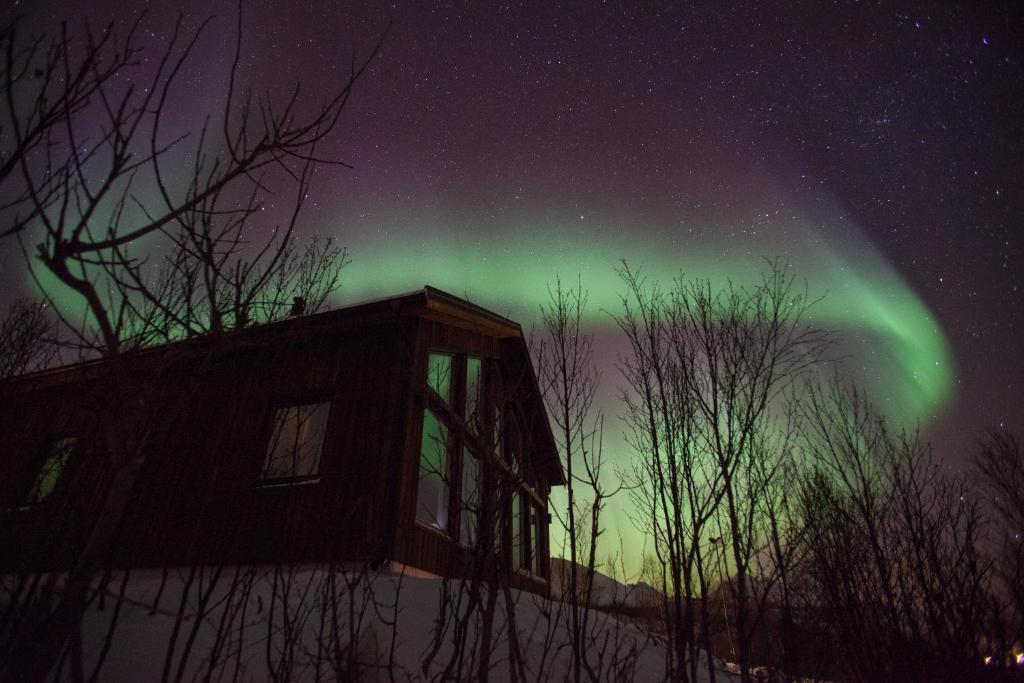Fotografie z fotogalerie ubytování Aurora View Cabin v destinaci Lyngseidet