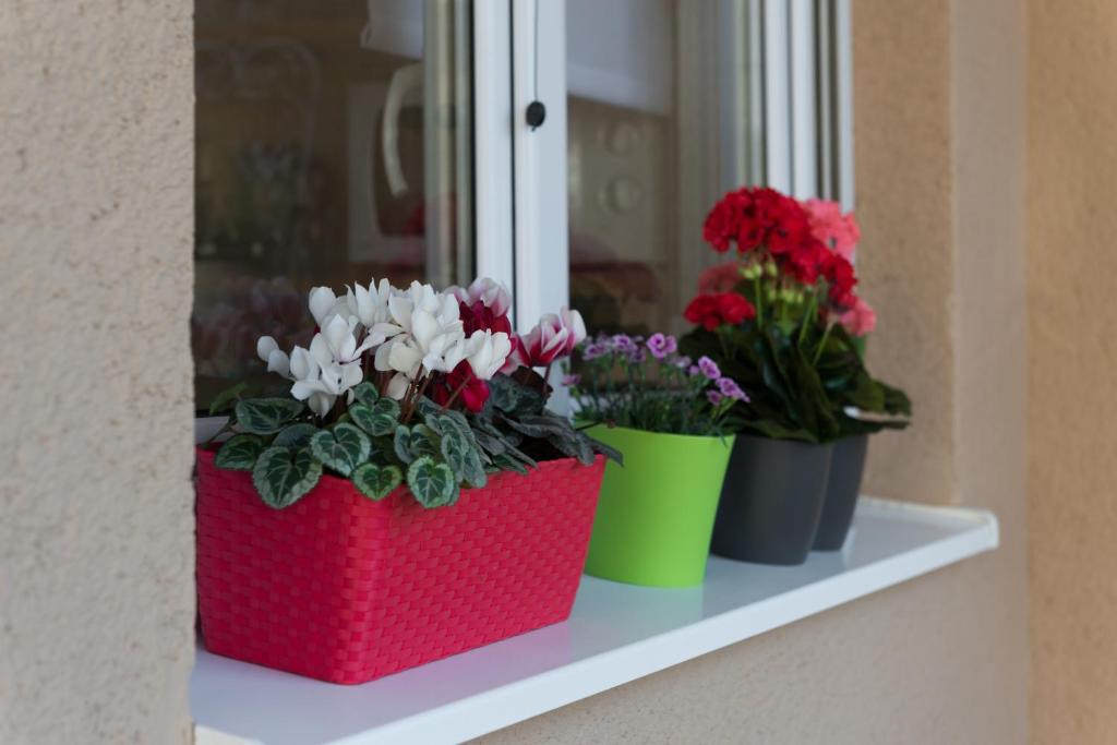 Room&studio Apartment Just Enjoy - 11