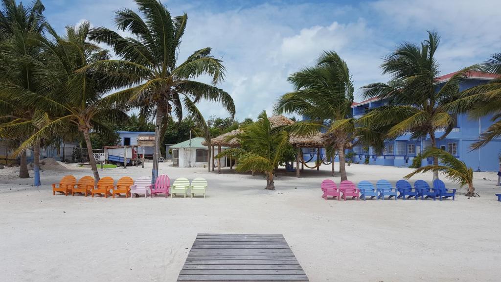 a beach with chairs and palm trees and a building at Anchorage Beach Resort Caye Caulker in Caye Caulker
