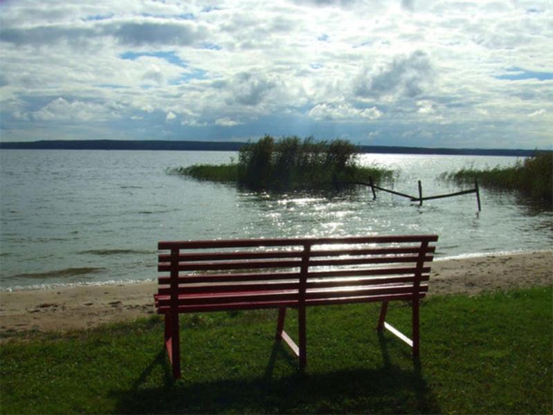 un banco sentado en la hierba cerca de un cuerpo de agua en Ferienhaus Plau am See SEE 3661, en Plau am See