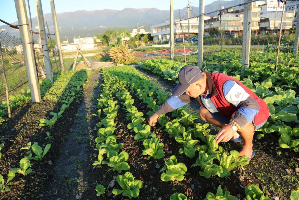 a man is working in a vegetable garden at 菜爺爺親子蔬宿Vegepapa B&B in Jiaoxi