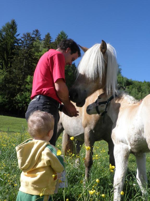 Zvieratá na farme alebo blízkom okolí