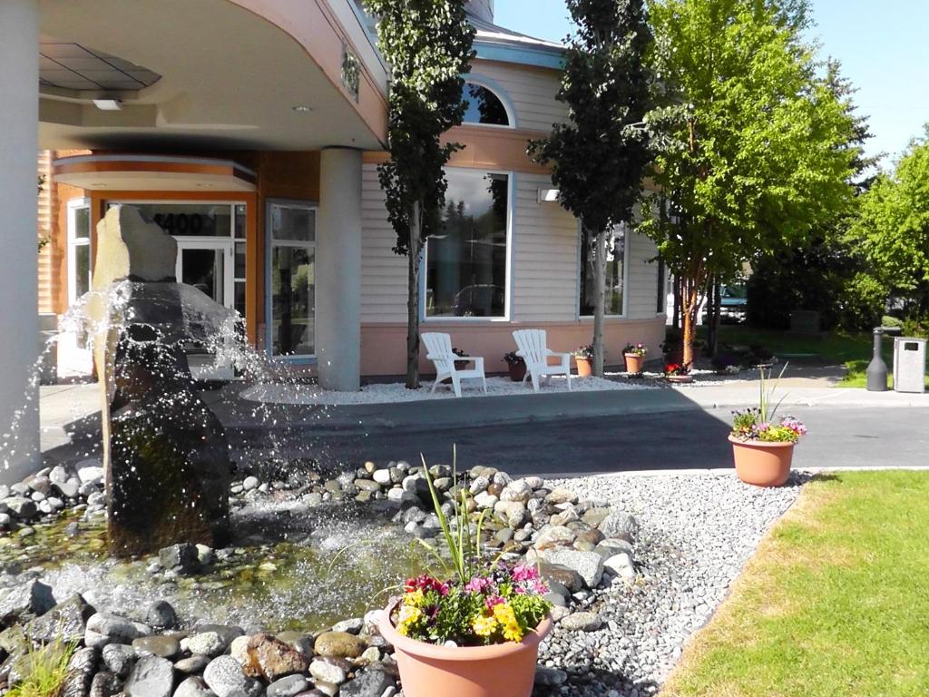 Zahrada ubytování Puffin Inn