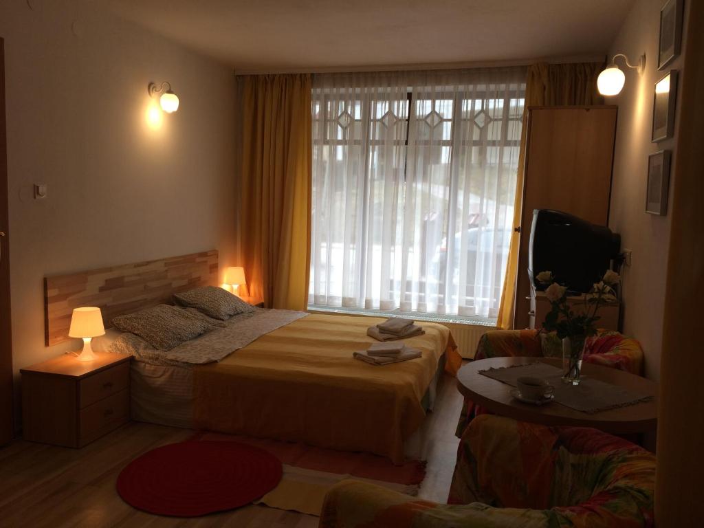 une chambre d'hôtel avec un lit et une fenêtre dans l'établissement Willa Krystyna, à Krynica-Zdrój