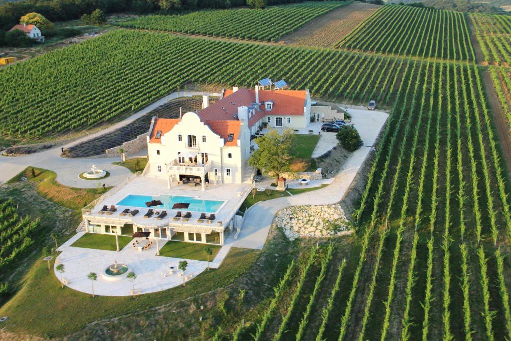 an aerial view of a large house in a vineyard at Liszkay Borkúria in Monoszló