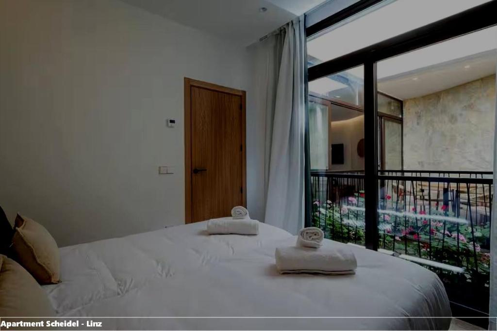 Apartment Scheidel