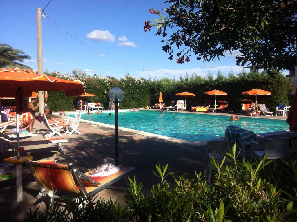 a swimming pool with chairs and umbrellas at VIOLA Club Village & Camping in Foce Varano