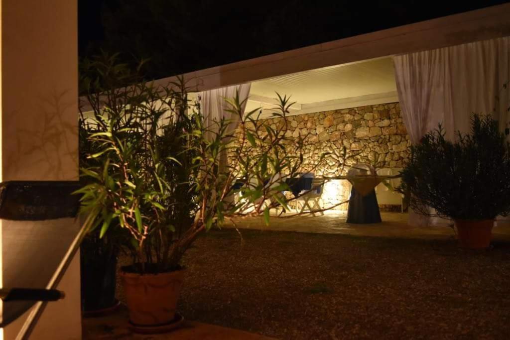 Zahrada ubytování B&B Yatabui