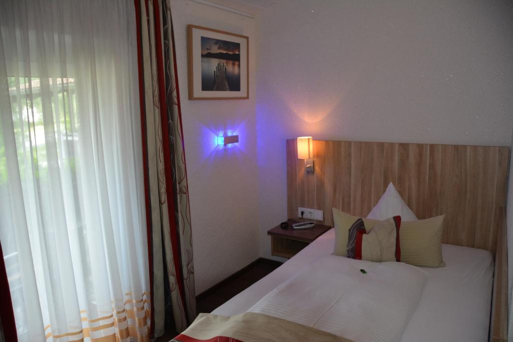 Alpina Hotel - Habitación Individual Confort