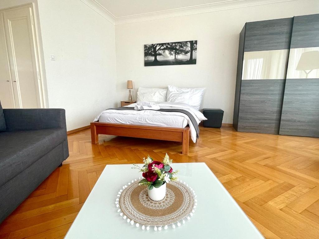Apartment at Lausanne Center