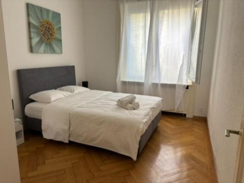 2 bedroom in the center of Lausanne